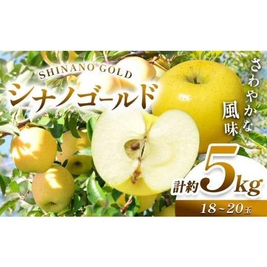 ふるさと納税 りんご 長野県 塩尻市 先行予約 [寄附金額改定しました ]信州産 塩尻エールりんご さわやかな風味 シナノゴールド 約5kg(18〜20玉) 10月下…