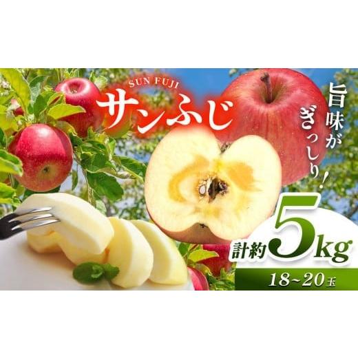 ふるさと納税 りんご 長野県 塩尻市 先行予約 [寄附金額改定しました ]信州産 塩尻エールりんご 国内生産1位 サンふじ 約5kg (18〜20玉) 11月中旬頃〜発…