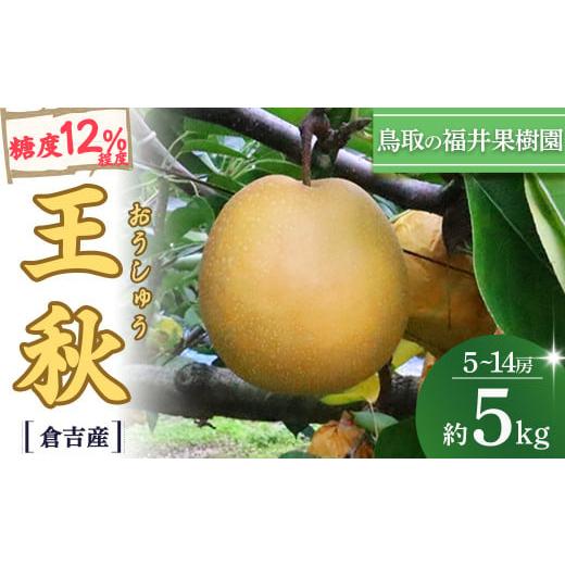 ふるさと納税 梨 鳥取県 倉吉市 期間限定 生産者応援品 令和8年産 王秋 5kg(5〜14玉) 倉吉産 福井果樹園 梨 なし ナシ おうしゅう 王秋 ブランド梨 鳥取 5k…