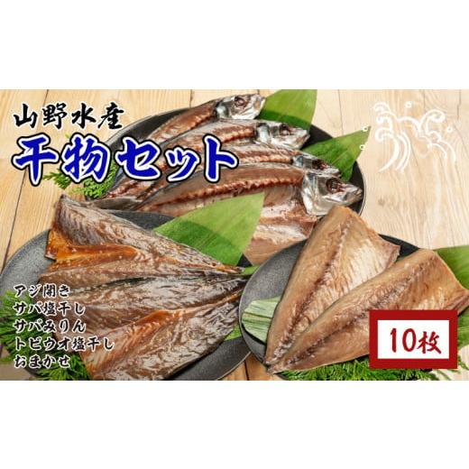 ふるさと納税 干物 アジ 宮崎県 日南市 数量限定 山野水産 干物 セット 合計10枚 詰め合わせ 簡単調理 魚 魚介 加工品 食品 惣菜 おかず おつまみ 塩干し みり…