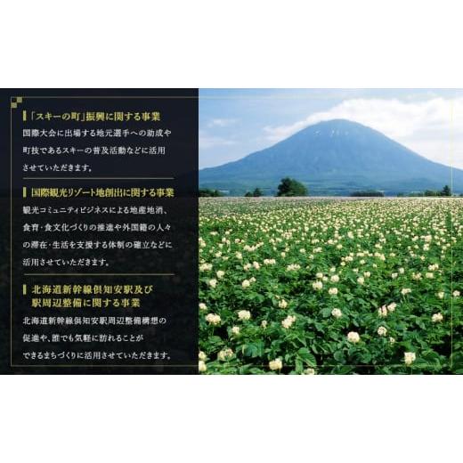 ふるさと納税 出来事や寝台券等 北海道 倶知安町 倶知安町 奉加金のみのうしろ押し受け付け 45,000円教科課程（しっぺい返し品なし 奉加金のみ 45000円）