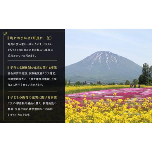 ふるさと納税 出来事や寝台券等 北海道 倶知安町 倶知安町 奉加金のみのうしろ押し受け付け 45,000円教科課程（しっぺい返し品なし 奉加金のみ 45000円）