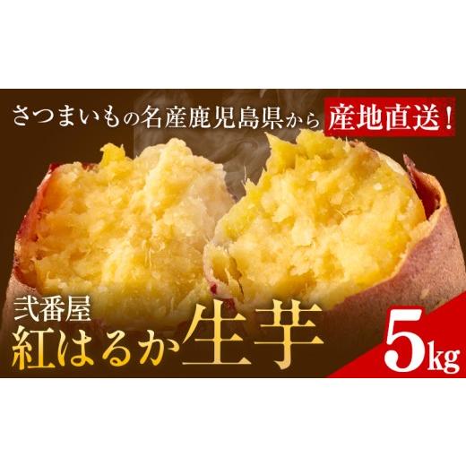 ふるさと納税 野菜類 サツマイモ 鹿児島県 さつま町 紅はるか サツマイモ 芋 5kg サイズ混合 2L-2S 弐番屋[11月上旬-2月中旬頃出荷]鹿児島県 さつま町 送料…