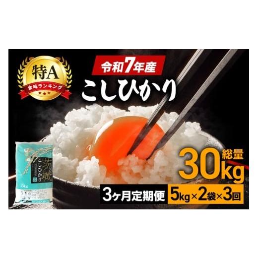 ふるさと納税 米 コシヒカリ 茨城県 笠間市 3ヶ月定期便 コシヒカリ 米 10kg (5kg×2袋) 計30kg 白米 こめ こしひかり 国産 国産米 取り寄せ 令和7年産 ごは…