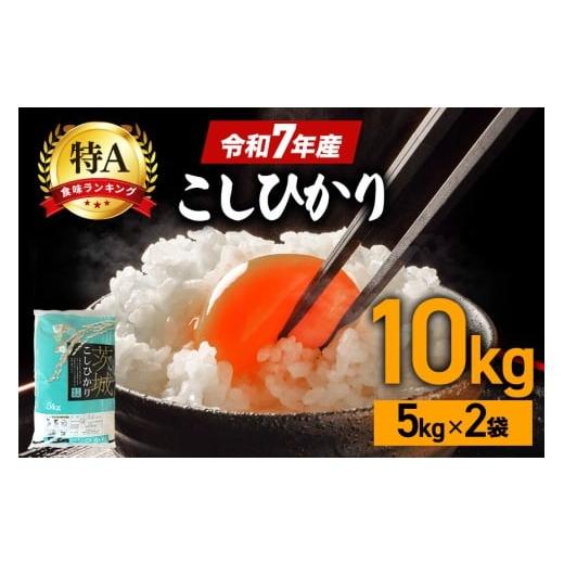 ふるさと納税 米 コシヒカリ 茨城県 笠間市 コシヒカリ 米 10kg ( 5kg ×2 ) 白米 こめ こしひかり 国産 国産米 取り寄せ 令和7年産 ごはん ご飯 コメ お取り…