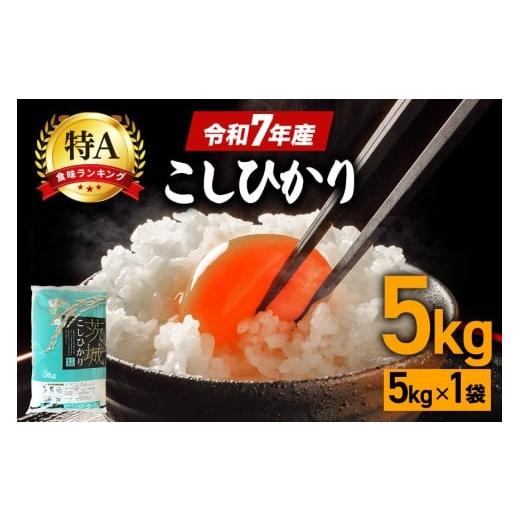 ふるさと納税 米 コシヒカリ 茨城県 笠間市 コシヒカリ 米 5kg 白米 こめ こしひかり 国産 国産米 取り寄せ 令和7年産 ごはん ご飯 コメ お取り寄せ お弁当 弁…