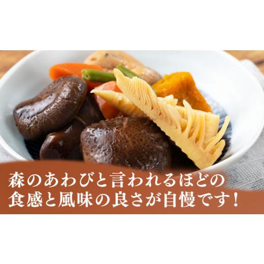 ふるさと納税 野菜類 きのこ 長崎県 対馬市 全2回定期便 対馬 原木 どんこ椎茸《対馬市》 うえはら株式会社 対馬産 肉厚 しいたけ 乾燥 きのこ 贈り物 WAI105…