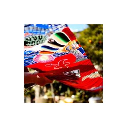 ふるさと納税 伝統技術 千葉県 鴨川市 千葉県指定伝統的工芸品 萬祝染額（六つ切りサイズ）鶴亀松竹梅　 0026-0009 萬祝染額（六つ切り）鶴亀松竹梅_4