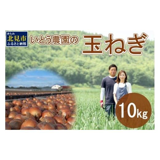 ふるさと納税 野菜類 玉ねぎ 北海道 北見市 2025年10月中お届け いとう農園の玉ねぎ 10kg ( 玉葱 タマネギ 野菜 期間限定 数量限定 10キロ ) 181-0002-2025 2…