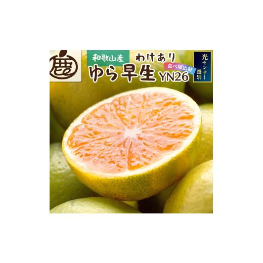 ふるさと納税 果物類 みかん 和歌山県 由良町 家庭用 有田 みかん サイズ混合(2S〜2L) 5kg+250g 10月発送(極早生) / 温州みかん 有田みかん 訳あり 甘い 光セ…