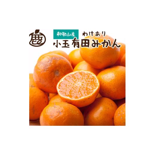 ふるさと納税 果物類 みかん 和歌山県 由良町 家庭用 小さな 有田 みかん (S以下) 5kg+250g 11月発送 / 温州みかん 有田みかん 訳あり 甘い 光センサー選果 …