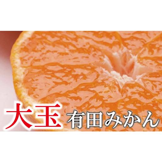 ふるさと納税 果物類 みかん 和歌山県 由良町 家庭用 大きな 有田 みかん (2L以上混合) 5kg+250g 11月発送 / 温州みかん 有田みかん 訳あり 甘い 光センサー…