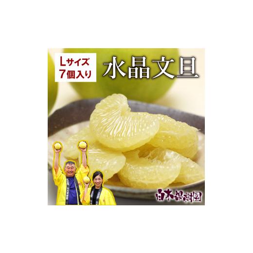 ふるさと納税 みかん・柑橘類 高知県 土佐市 先行予約 水晶文旦 Lサイズ 7個入り 約3kg[2026年10月上旬〜11月上旬頃発送] / 3キロ 果物 柑橘 フルーツ ぶ…