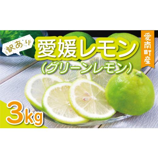 ふるさと納税 みかん・柑橘類 レモン 愛媛県 愛南町 先行予約:2026年9月上旬〜発送 数量限定 訳あり 愛媛 レモン グリーンレモン 3kg 7000円 一万円 以下 柑…