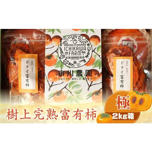 ふるさと納税 果物類 柿 神奈川県 海老名市 樹上甘熟富有柿 極 2kg箱 [出荷時期:2025年11月20日出荷開始〜2025年12月15日出荷終了] 柿 かき フルーツ 神奈…
