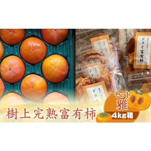 ふるさと納税 果物類 柿 神奈川県 海老名市 樹上甘熟富有柿 セット雅 4kg箱 [出荷時期:2025年11月20日出荷開始〜2025年12月15日出荷終了] 柿 かき フルー…