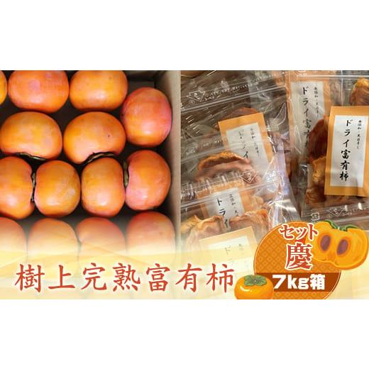 ふるさと納税 果物類 柿 神奈川県 海老名市 樹上甘熟富有柿 セット慶 7kg箱 [出荷時期:2025年11月20日出荷開始〜2025年12月15日出荷終了] 柿 かき フルー…