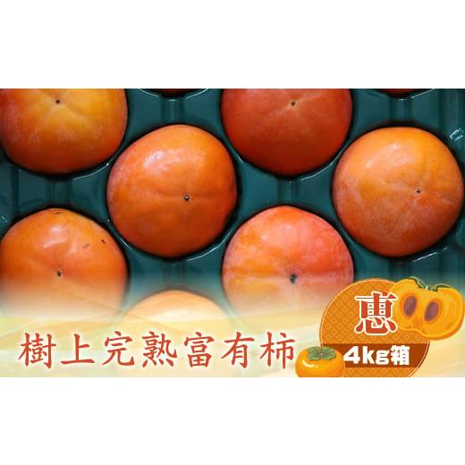 ふるさと納税 果物類 柿 神奈川県 海老名市 樹上甘熟富有柿 恵 4kg箱 [出荷時期:2025年11月20日出荷開始〜2025年12月15日出荷終了] 柿 かき フルーツ 神奈…