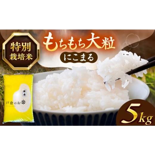 ふるさと納税 米 にこまる 愛知県 愛西市 5kg/4月発送 にこまる 白米 5kg お米 ご飯 米 お米 5kg 5キロ 白米 精米 コメ ご飯 ごはん 愛知県産 国産 県産米 …