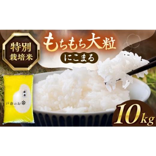 ふるさと納税 米 にこまる 愛知県 愛西市 10kg/5月発送 にこまる 白米 10kg お米 ご飯 米 お米 10kg 10キロ 白米 精米 コメ ご飯 ごはん 愛知県産 国産 県産…