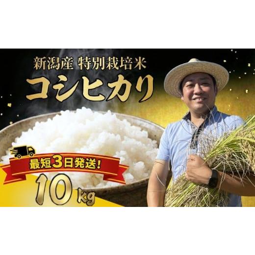 ふるさと納税 米 コシヒカリ 新潟県 新発田市 最短1週間発送 新潟県産 特別栽培米 コシヒカリ 10kg (5kg×2袋) 令和7年産 こしひかり 特栽米 米 月岡 温泉 …