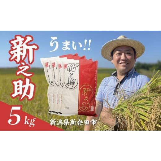 ふるさと納税 米 新潟県 新発田市 最短1週間発送 令和7年産 新之助 5kg お米 こめ ご飯 ごはん おいしい 新潟 新潟県 米 5kg 新発田産 新潟産 朝食 昼食 夕飯…