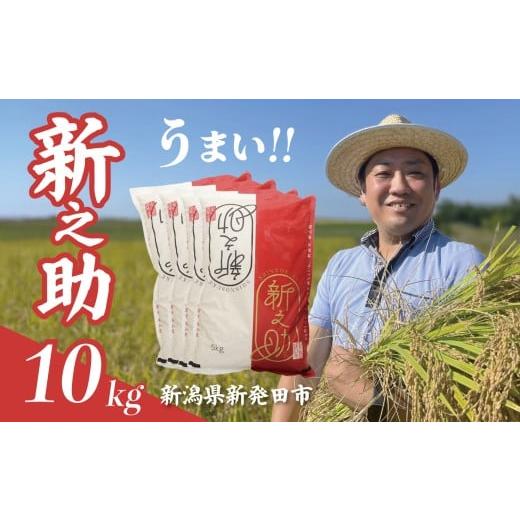 ふるさと納税 米 新潟県 新発田市 最短1週間発送 令和7年産 新之助 10kg 5kg×2袋 お米 こめ ご飯 ごはん おいしい 新潟 新潟県 米 5kg 10kg 新発田産 新潟産…