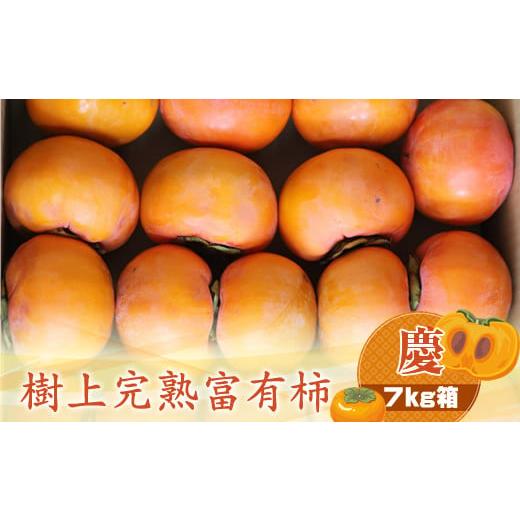 ふるさと納税 果物類 柿 神奈川県 海老名市 樹上甘熟富有柿 慶 7kg箱 [出荷時期:2025年11月20日出荷開始〜2025年12月15日出荷終了] 柿 かき フルーツ 神奈…