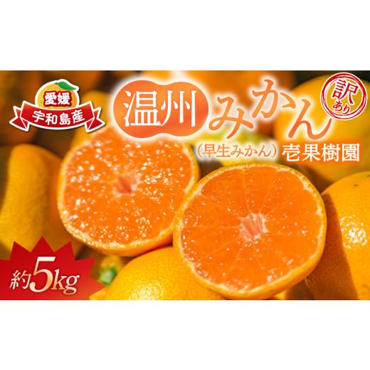 ふるさと納税 果物類 みかん 愛媛県 宇和島市 訳あり 早生 温州 みかん 5kg 壱果樹園 わけあり mikan 早生温州 温州みかん 早生みかん 果物 くだもの 愛媛みか…