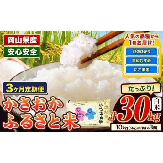 ふるさと納税 米 きぬむすめ 岡山県 笠岡市 令和8年5月〜令和8年7月 発送 米 お米 令和7年産 備中笠岡ふるさと米 3ヶ月定期便 30kg 10kg × 3ヶ月 国産 ヒノ…