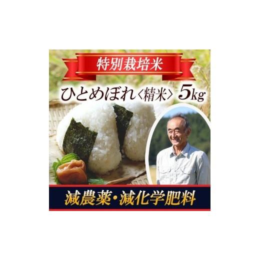ふるさと納税 米 ひとめぼれ 山形県 遊佐町 ひとめぼれ 5kg×1袋 令和7年産米 特別栽培米 山形県遊佐産 鳥海山の恵 東北 遊佐町 庄内地方 庄内平野 米 お米 精…