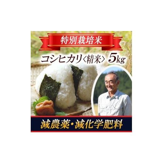 ふるさと納税 米 コシヒカリ 山形県 遊佐町 コシヒカリ 5kg×1袋 令和7年産米 特別栽培米 山形県遊佐産 鳥海山の恵 東北 遊佐町 庄内地方 庄内平野 米 お米 精…