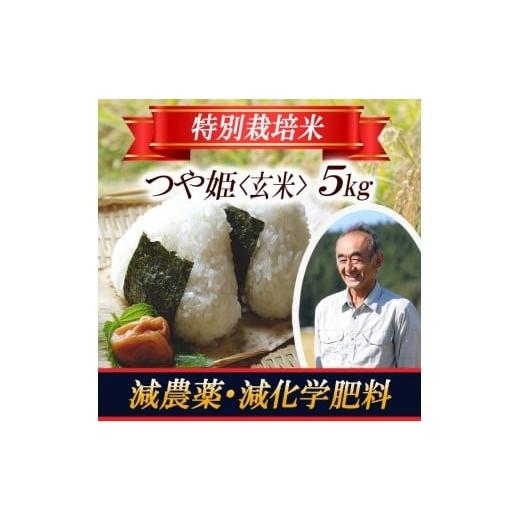 ふるさと納税 米 つや姫 山形県 遊佐町 つや姫 玄米 5kg×1袋 令和7年産米 特別栽培米 山形県遊佐産 鳥海山の恵 東北 遊佐町 庄内地方 庄内平野 米 お米 庄内…