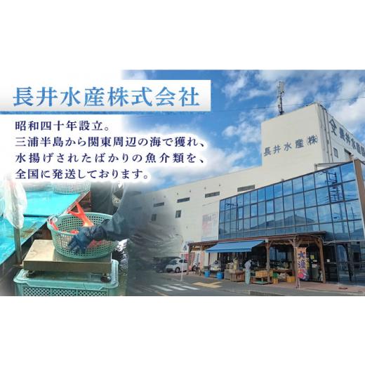 ふるさと納税 干物 神奈川県 横須賀市  全12回定期便 かながわブランド「三崎黒潮キンメ」鯛の特大干物 2枚入 約1400g 特大サイズ 金目鯛 干物 キンメの開き …の画像
