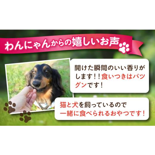 ふるさと納税 魚貝類 神奈川県 横須賀市  全6回定期便 犬猫おやつ 三崎マグロジャーキー（80g×2袋） ペット 犬 猫 手作り 国産 てづくり こだわり ドッグフー…の画像