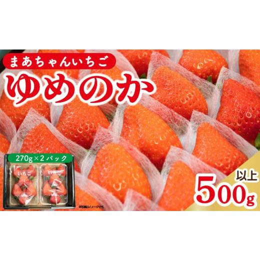 ふるさと納税 いちご 徳島県 阿波市 先行予約 いちご ゆめのか 500g以上(270g×2p) 苺 ストロベリー 果物 フルーツ デザート スイーツ おやつ お菓子 洋菓子 …