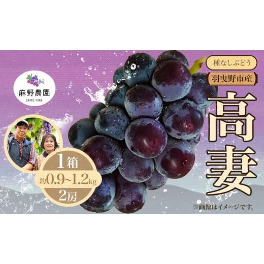 ふるさと納税 ぶどう 大阪府 羽曳野市 2026年先行予約 高妻 (種なしぶどう) 約0.9~1.2kg (2房) 麻野農園[2026年8月上旬-8月中旬頃出荷]大阪府 羽曳野市 ぶ…