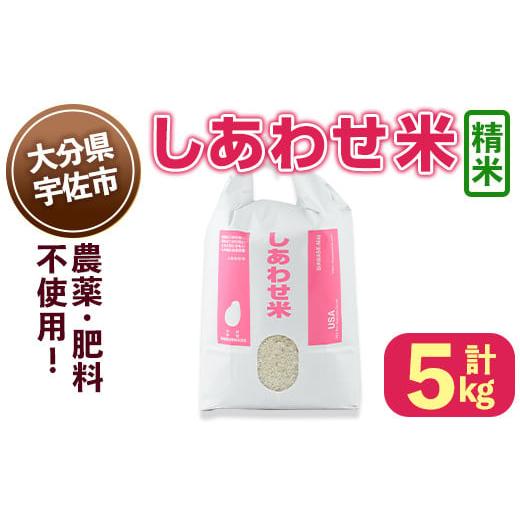 ふるさと納税 米 大分県 宇佐市 先行予約受付中 11月以降発送予定 しあわせ米 精米(計5kg) お米 白米 5キロ 常温 常温保存 101000502 宇佐本百姓 精米 5kg