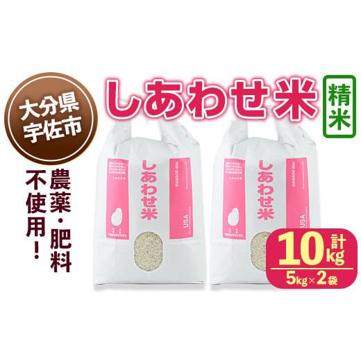 ふるさと納税 米 大分県 宇佐市 先行予約受付中 11月以降発送予定 しあわせ米 精米(計10kg・5kg×2袋) お米 白米 10キロ 常温 常温保存 101000702 宇佐本百姓…