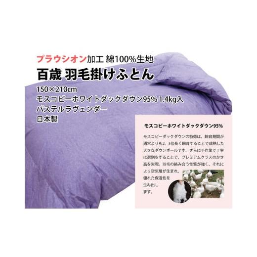 ふるさと納税 タオル・寝具 掛け布団 大阪府 泉大津市 ミステリアスグレー 百歳羽毛掛けふとん シングルロングサイズ パステルラヴェンダー色 ミステリアスグ…