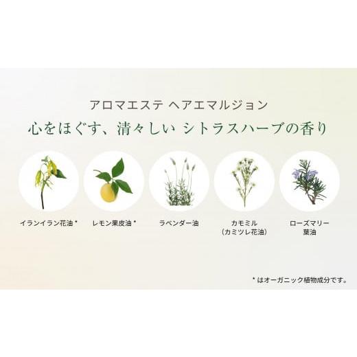 ふるさと納税 美容 長野県 大町市 ラ・カスタ アロマエステ ヘア 
