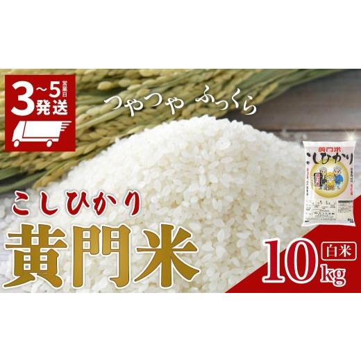 ふるさと納税 米 コシヒカリ 茨城県 常陸太田市 家計応援 寄附額改定 コシヒカリ 白米 10kg 3〜5営業日発送 黄門米 通常便 1回 | コシヒカリ こしひかり 10kg …