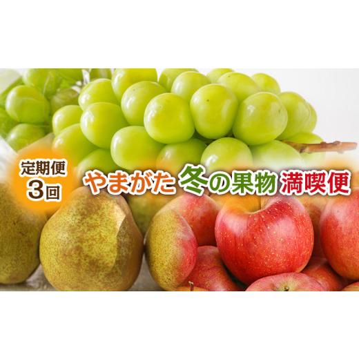 ふるさと納税 ぶどう マスカット 山形県 山形市 定期便3回 やまがた冬の果物 満喫便 FY24-300