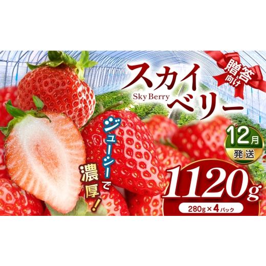 ふるさと納税 いちご 栃木県 真岡市 先行予約 スカイベリー(贈答向け) 12月発送 280g×2p×2箱 真岡市 栃木県 送料無料 12月発送予定 280g×4p | 20,000…