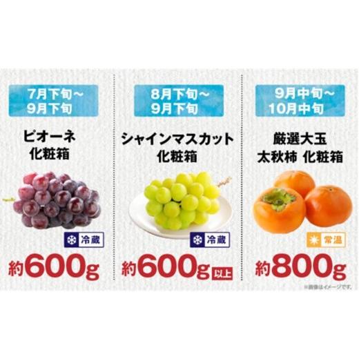 ふるさと納税 果物類 みかん 香川県 高松市  ALL化粧箱 12回毎月お届け 高松市自慢のフルーツ定期便 M | キウイ さぬきエンジェルスイート 香緑キウイ 香緑 キ…_4