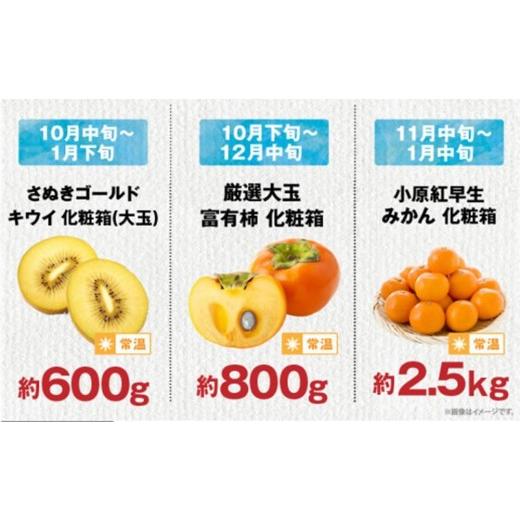 ふるさと納税 果物類 みかん 香川県 高松市  ALL化粧箱 12回毎月お届け 高松市自慢のフルーツ定期便 M | キウイ さぬきエンジェルスイート 香緑キウイ 香緑 キ…_5