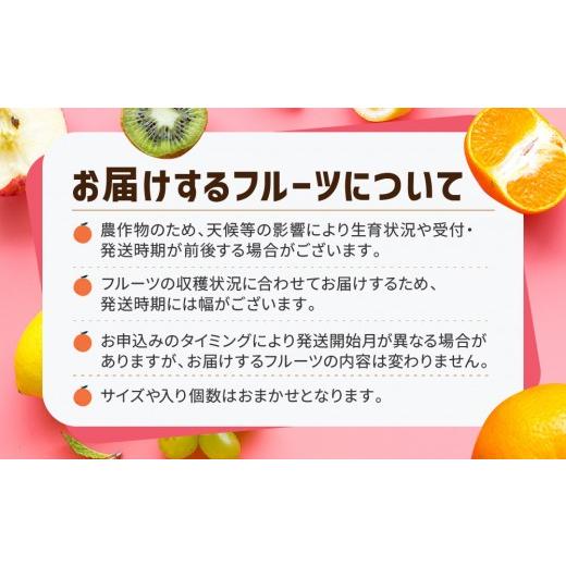 ふるさと納税 果物類 みかん 香川県 高松市  ALL化粧箱 12回毎月お届け 高松市自慢のフルーツ定期便 M | キウイ さぬきエンジェルスイート 香緑キウイ 香緑 キ…_7