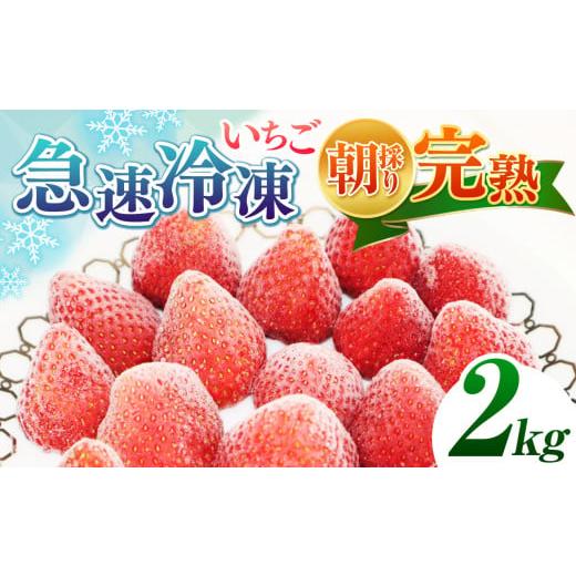 ふるさと納税 いちご 千葉県 君津市 完熟・急速冷凍いちご 2kg | 苺 いちご イチゴ 果物 フルーツ ふるーつ 冷凍 いちご れいとう イチゴ 果実 果汁 冷凍 冷…