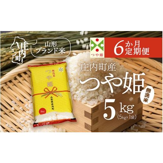 ふるさと納税 無洗米 山形県 庄内町 6か月定期便 庄内米 特別栽培米 つや姫 無洗米 5kg 毎月 5kg×1袋 令和7年産 / 令和8年産 ブランド米 米 山形 庄内平野 …