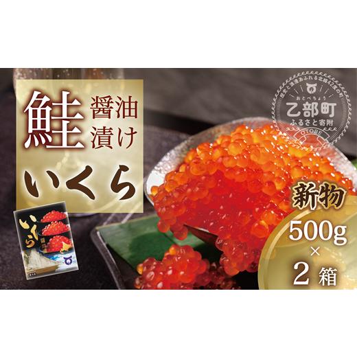 ふるさと納税 いくら 北海道 乙部町 新物 いくら醤油漬 2パック(500g×2箱) 鮮度にこだわる「笹谷商店」の絶品の醤油タレで漬けたいくら(検索:イクラ …